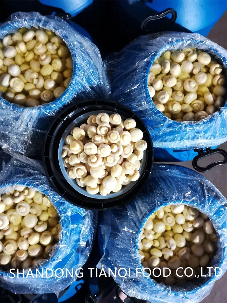 factory whole white mushroom in drum factory whole white mushroom in drum