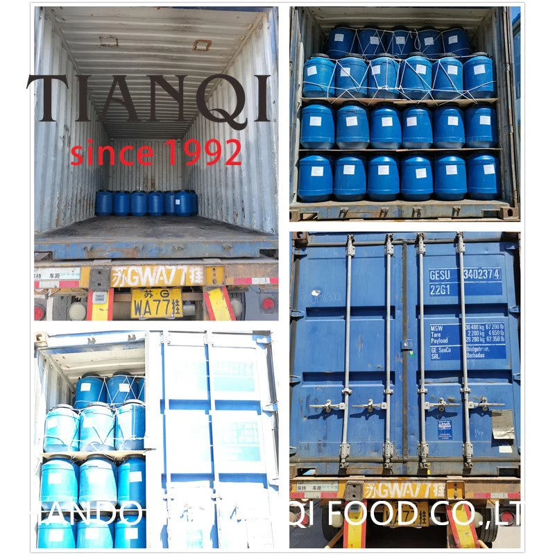 Drum packing factory white champignon mushroom in salty water Drum packing factory white champignon mushroom in salty water