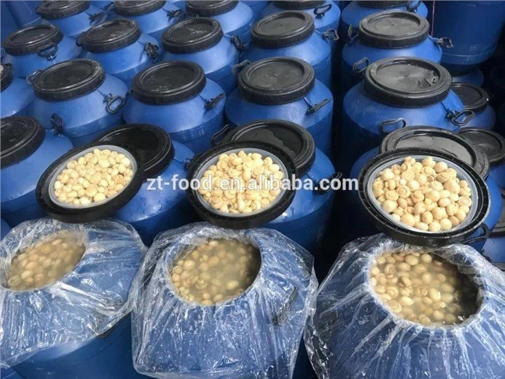 Bulk package white mushroom in drums