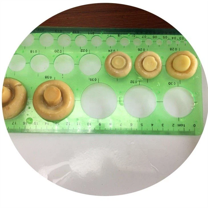 White mushroom in brine in drums different specification for choice