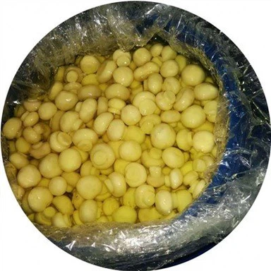 소금물에 있는 45 KG 전체버섯