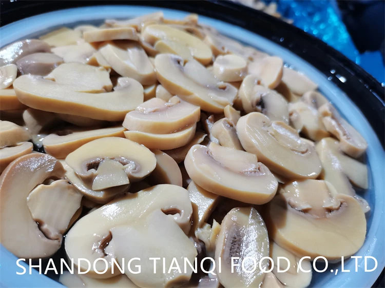 Sliced white mushroom in SO2 in drums Sliced white mushroom in SO2 in drums