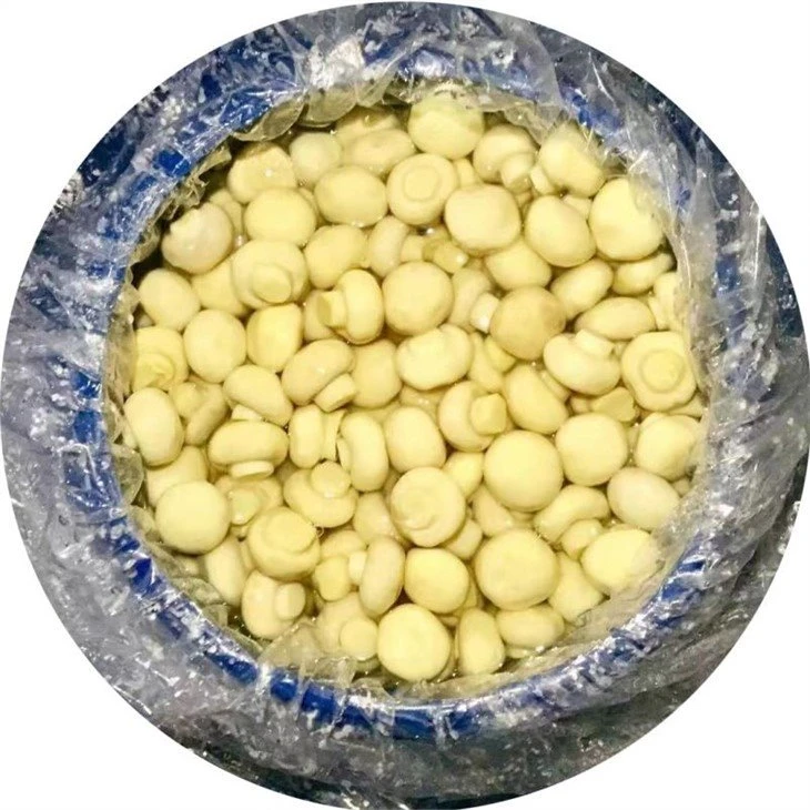 Whole white button mushroom in salty water in barrel