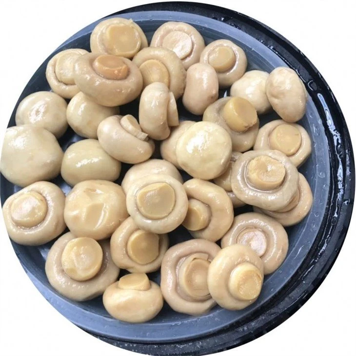 Whole white mushroom in salted water in drums