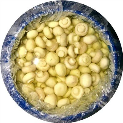 드럼에 신선한 보존 버섯