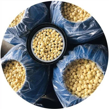 SO₂에 고품질 버섯 ₂