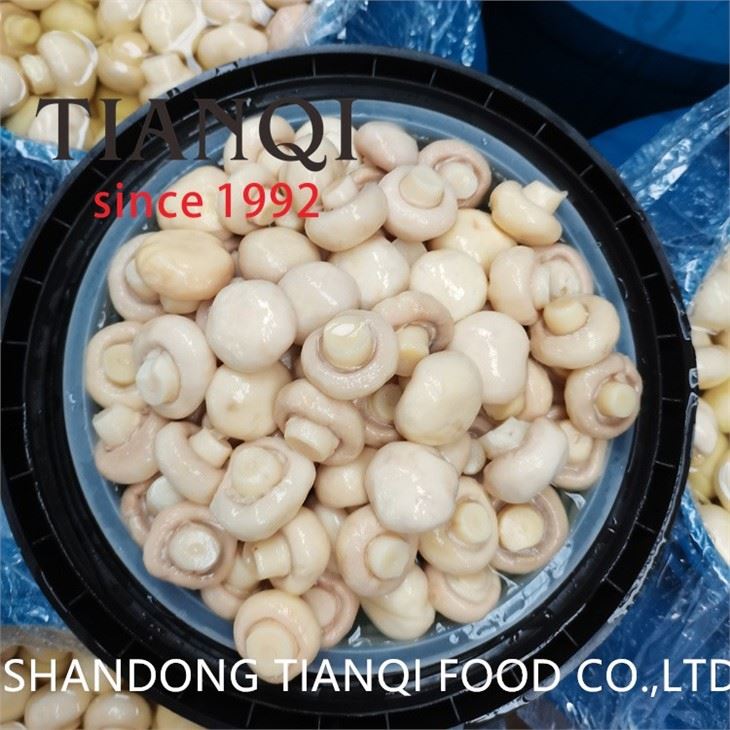 2022 new crop white mushroom in drums