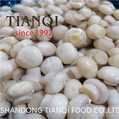 드럼의 소금물에 재배된 샴피뇽 버섯