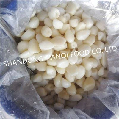 드럼의 소금물에 새로운 작물 흰 마늘 정향