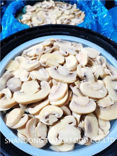 드럼통에 소금에 절인 샴피뇽 버섯