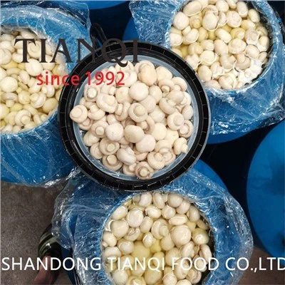 드럼의 SO2에 신선한 보존 된 흰 버섯