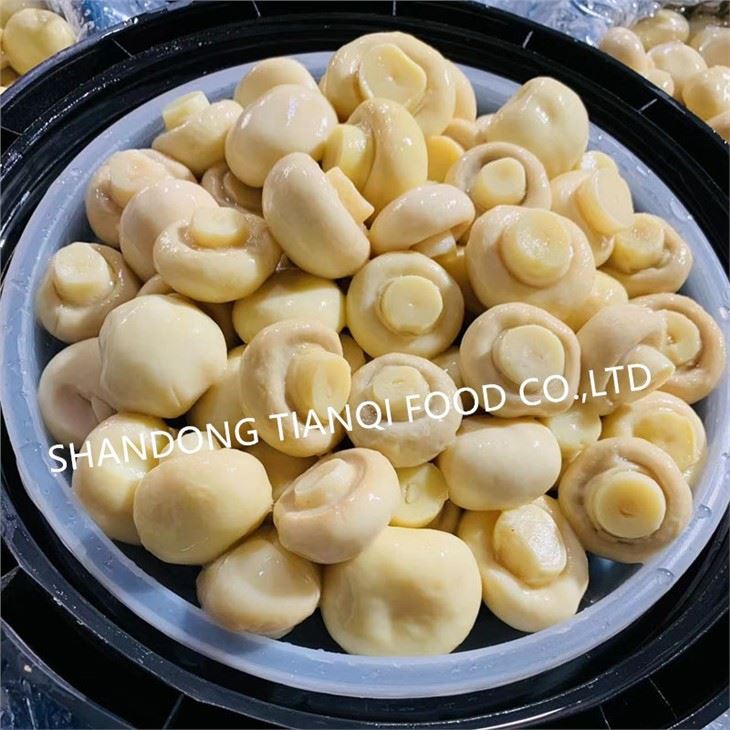 White Champignon in Brine in Drums