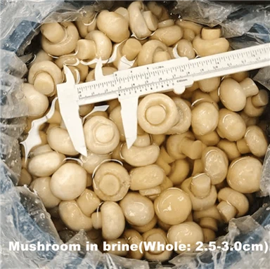 큰 드럼에 짠 샴피뇽 버섯